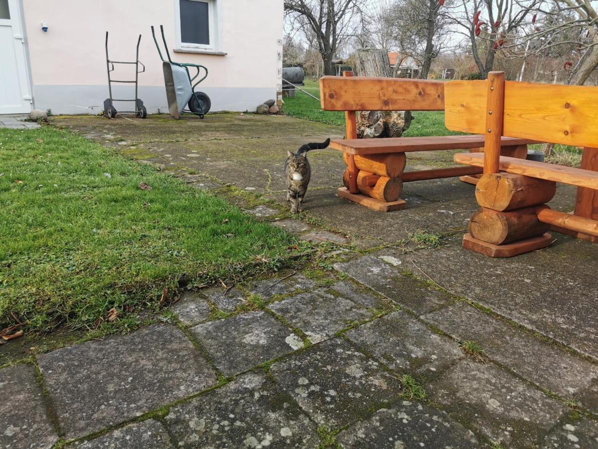 Wellness Oase Auf Dem Land Vila Buttstadt Exterior foto